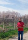 AMO SAEID